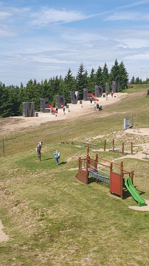 Rezidence Alpina - Apartman 15 Špindlerŭv Mlýn Buitenkant foto