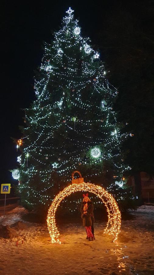 Rezidence Alpina - Apartman 15 Špindlerŭv Mlýn Buitenkant foto